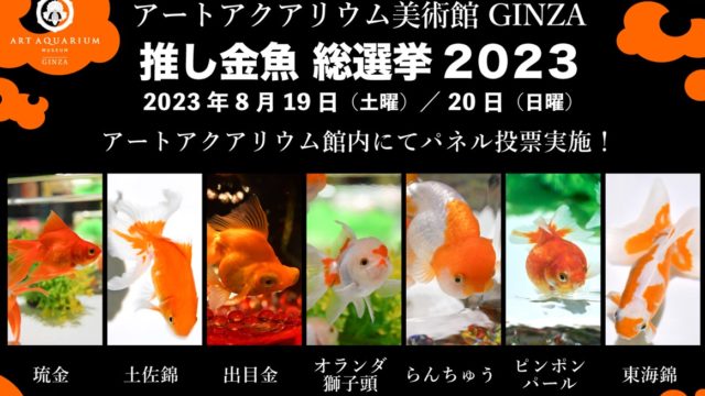 アートアクアリウム美術館 GINZAの人気NO.1金魚は⁈「推し金魚総選挙2023」開催決定！