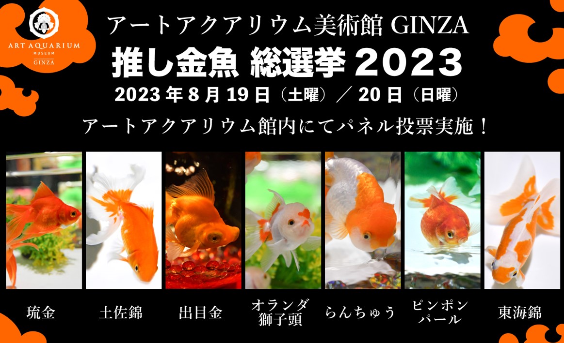 <h1 class="release--title">
 アートアクアリウム美術館 GINZAの人気NO.1金魚は⁈「推し金魚総選挙2023」開催決定！
 </h1>