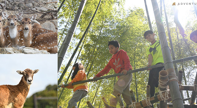 パンダバンブープロジェクト「アドプトフォレスト活動×SUMMER CAMP２０２３ 特別企画」岸和田市の子どもたちが竹の資源循環と動物福祉について学びます～２０２３年８月２０日（日）～