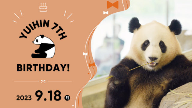 HAPPY PANDA FES ２０２３ ジャイアントパンダ「結浜（ゆいひん）」７歳の誕生会 ２０２３年９月１８日（月）