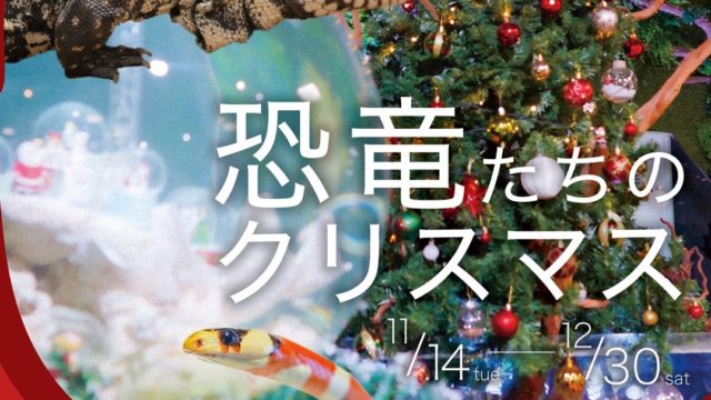 体長1M超えの爬虫類「テグー」とチェキ会ができるクリスマスイベント「恐竜たちのクリスマス - 2023」が奈良いきものミュージアムで開催！